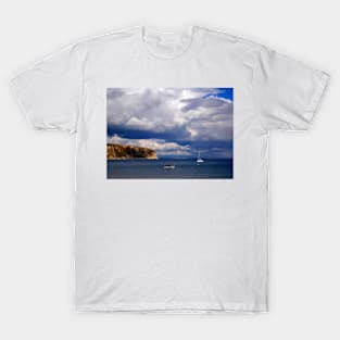 Ballard Down T-Shirt